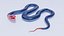 Blue Coral Snake - Static Poses