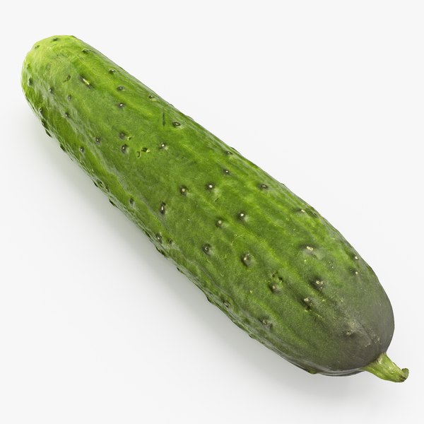 3D model cucumber 01