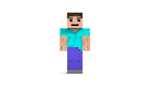 Minecraft Rig