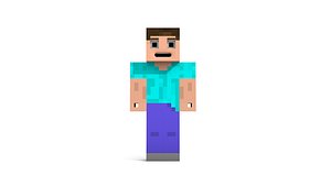Minecraft Rig