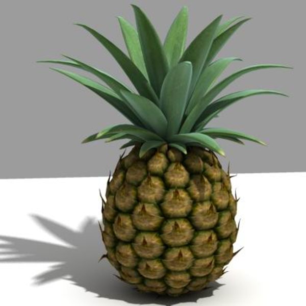 pineapple 3d model