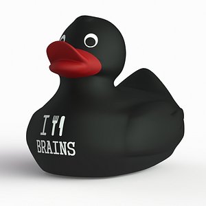 rubber duck model