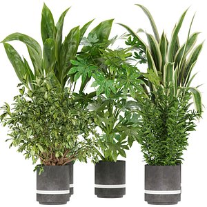 3D model Collection plant vol 263 - indoor - leaf