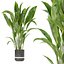 3D model Collection plant vol 263 - indoor - leaf