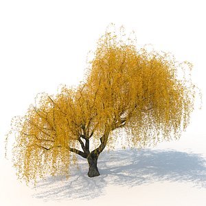nature tree flora 3D