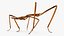 Stick Insect Brown Rigged