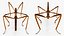 Stick Insect Brown Rigged