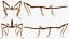 Stick Insect Brown Rigged
