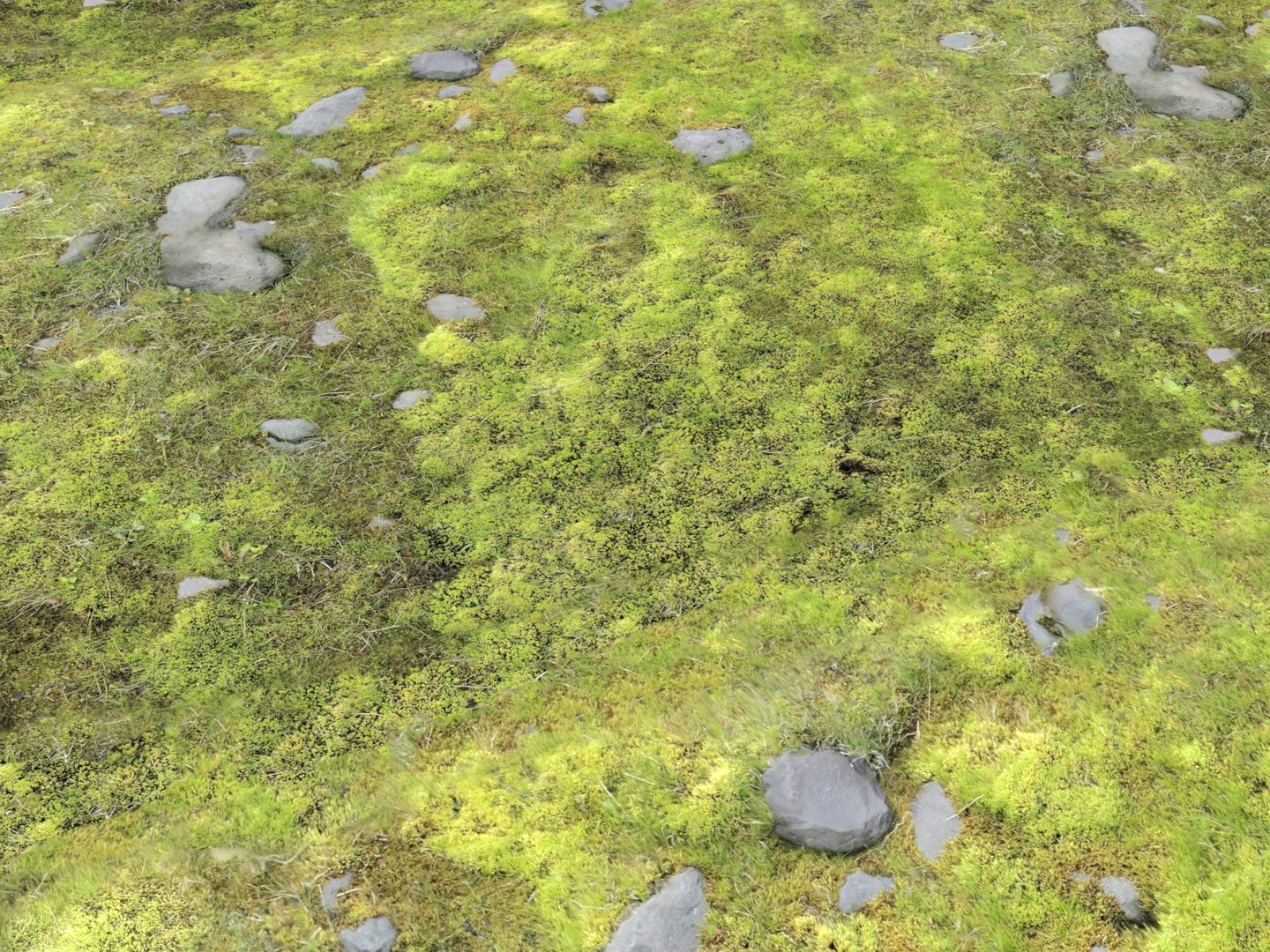 3D ground terrain iceland model https://p.turbosquid.com/ts-thumb/6s/wbzWHI/EL/3/jpg/1616783205/1920x1080/fit_q87/b7d9272f201bce03edfbfafe31c96d3466848060/3.jpg