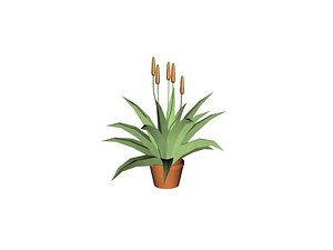 3ds max house plant aloe