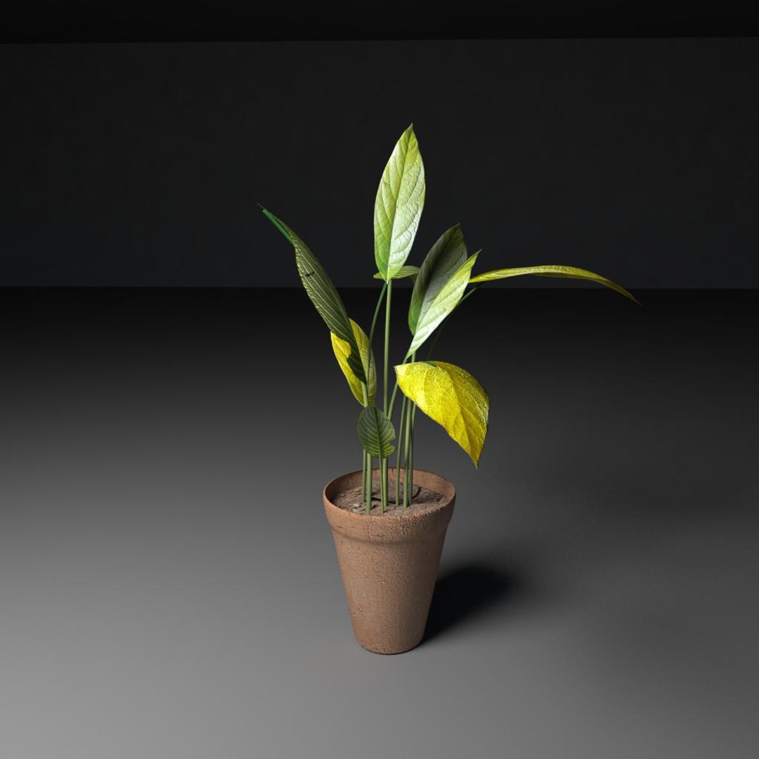 3d Model Of Plant