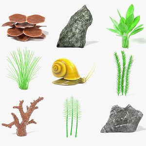 aquarium decoration snail 3d model