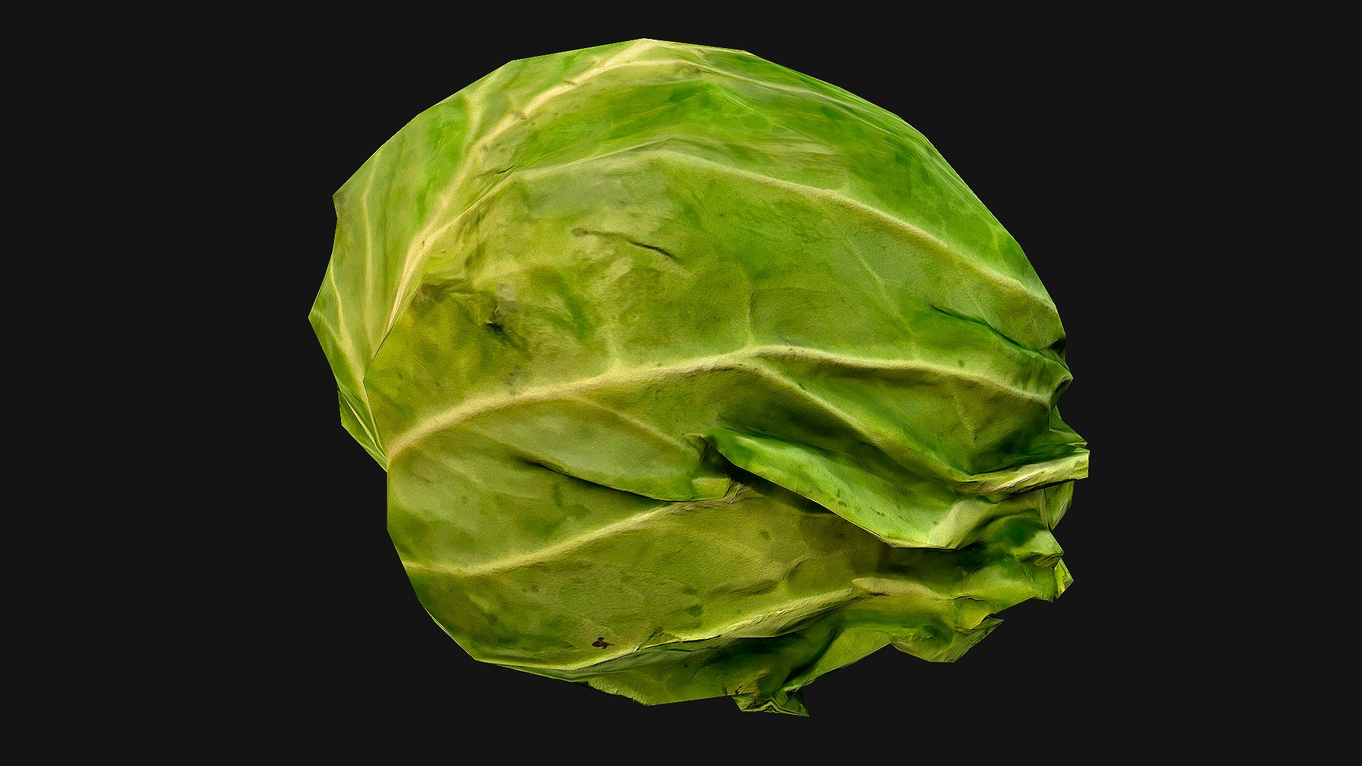 Cabbage 3D model https://p.turbosquid.com/ts-thumb/6t/FpS7cZ/GE/cabbage_19/png/1657442617/1920x1080/fit_q87/775b15372db7e8a38cdf8ea33c45c34f32c7ab19/cabbage_19.jpg