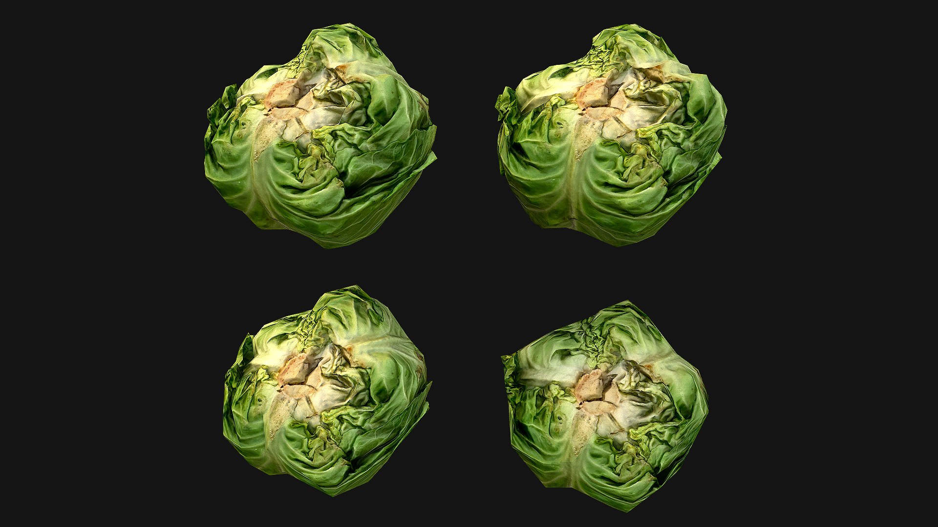 Cabbage 3D model https://p.turbosquid.com/ts-thumb/6t/FpS7cZ/HN/cabbage_3/png/1657442590/1920x1080/fit_q87/60544d62b92a379a8f1bf064e27f6d8f91c65bbb/cabbage_3.jpg