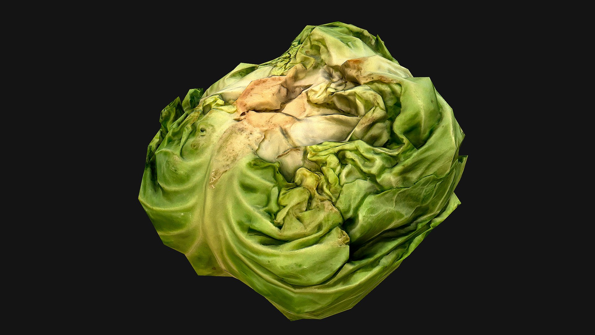Cabbage 3D model https://p.turbosquid.com/ts-thumb/6t/FpS7cZ/cm/cabbage_5/png/1657442591/1920x1080/fit_q87/821ed942e4b4a996d1ff285f95bfeb714373e8c0/cabbage_5.jpg