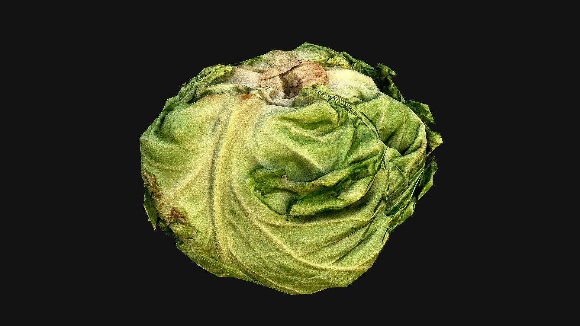 Cabbage 3D model https://p.turbosquid.com/ts-thumb/6t/FpS7cZ/lN/cabbage_8/png/1657442600/1920x1080/fit_q87/a588c93779aae486d342a8a5c6732642dc6ab22e/cabbage_8.jpg