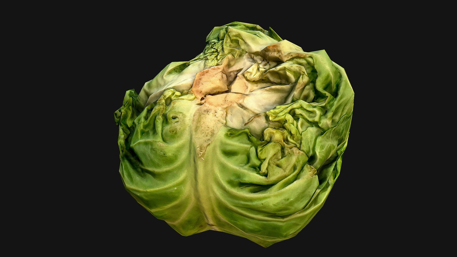 Cabbage 3D model https://p.turbosquid.com/ts-thumb/6t/FpS7cZ/mw/cabbage_4/png/1657442592/1920x1080/fit_q87/74fa55c67e1bdb4f3175eeb11d5ac79f56ba812d/cabbage_4.jpg