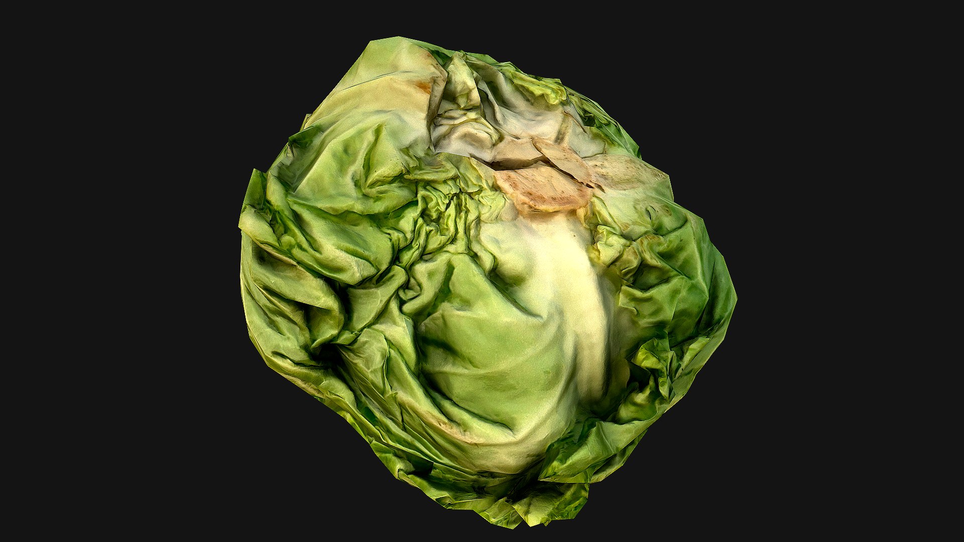 Cabbage 3D model https://p.turbosquid.com/ts-thumb/6t/FpS7cZ/p3/cabbage_10/png/1657442604/1920x1080/fit_q87/f2a4cf284055a0bf7c0e4a17588e1d7901b3d846/cabbage_10.jpg