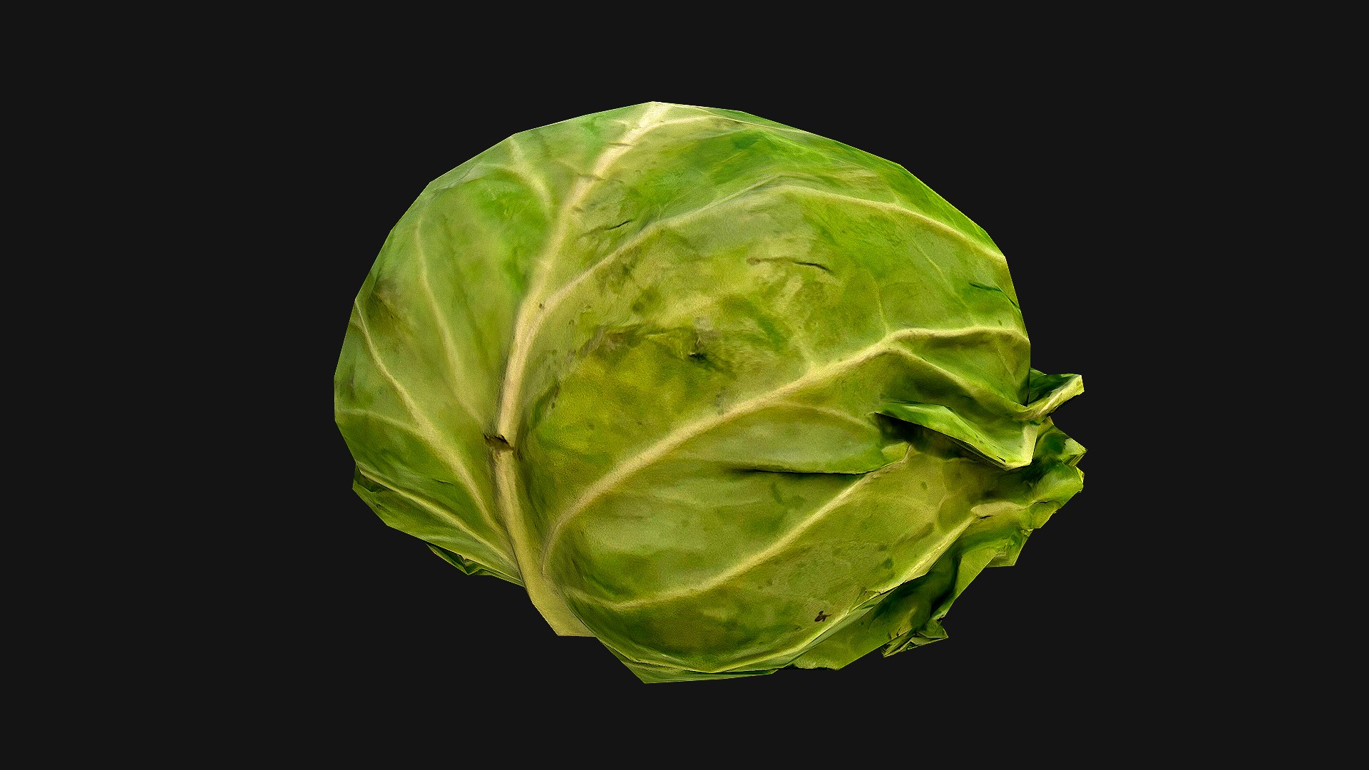 Cabbage 3D model https://p.turbosquid.com/ts-thumb/6t/FpS7cZ/uC/cabbage_15/png/1657442610/1920x1080/fit_q87/d9b60bfb3f64c0da073b63388d6173e84cd062ab/cabbage_15.jpg