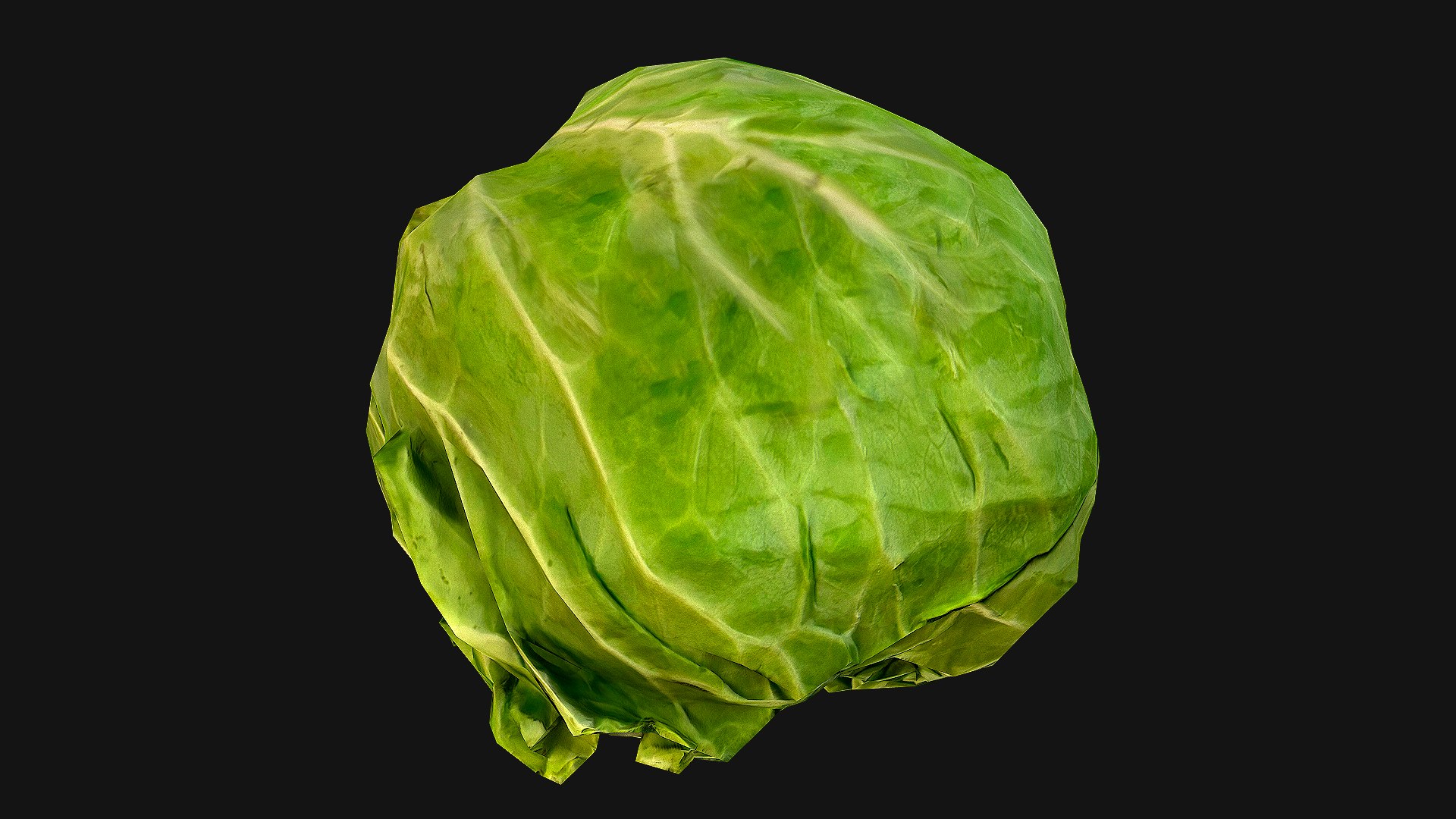 Cabbage 3D model https://p.turbosquid.com/ts-thumb/6t/FpS7cZ/v9/cabbage_17/png/1657442614/1920x1080/fit_q87/d5bf752695ec19b2ffcc867acf57304f5c828069/cabbage_17.jpg