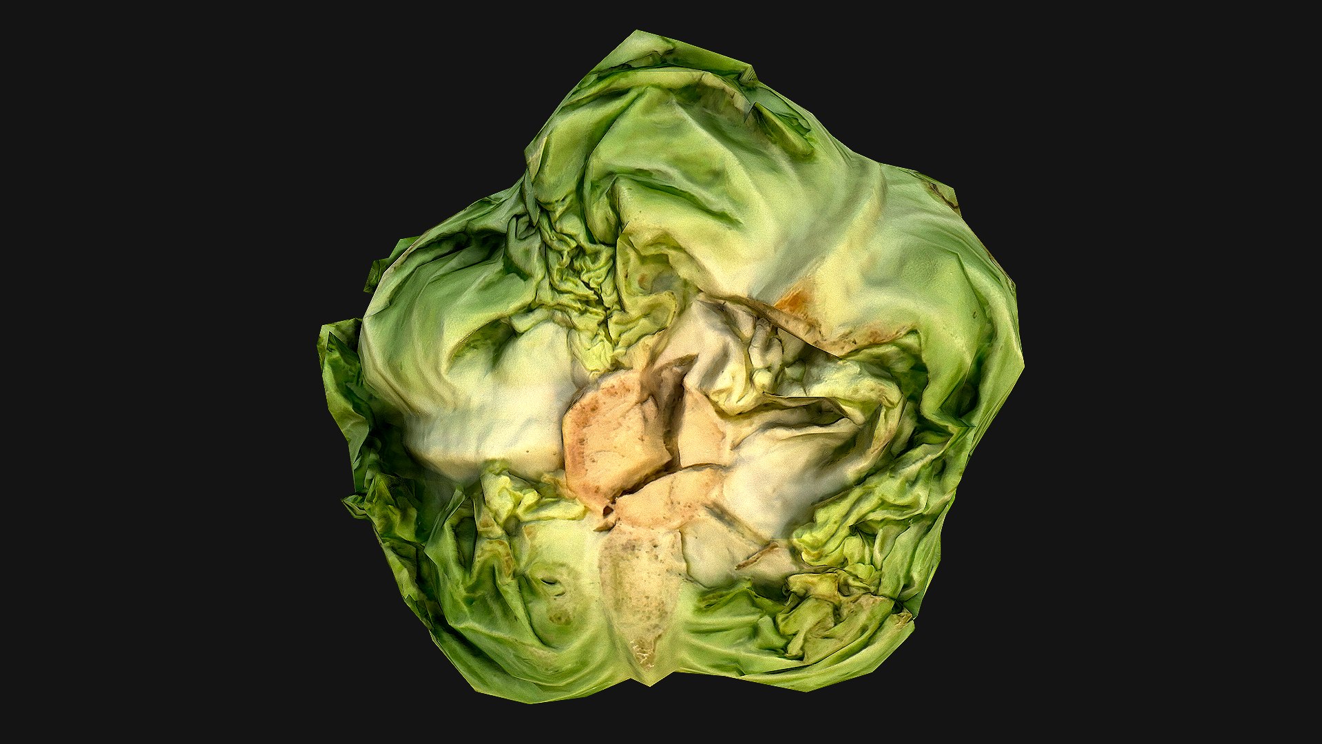 Cabbage 3D model https://p.turbosquid.com/ts-thumb/6t/FpS7cZ/xM/cabbage_13/png/1657442608/1920x1080/fit_q87/6b3f23381206d04dc018d07c8e8ad65fe022c7ec/cabbage_13.jpg