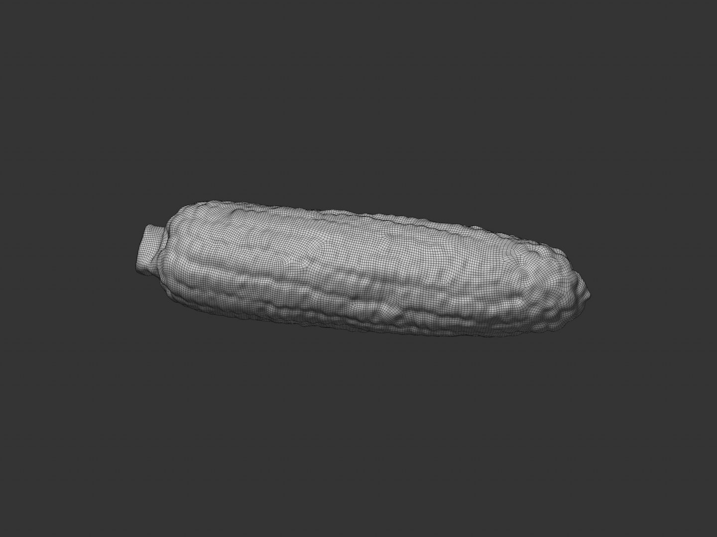 Corn Cob 3D model https://p.turbosquid.com/ts-thumb/6t/MN8yFV/9f/preview_corn_wireframe_02/jpg/1756023374/1920x1080/fit_q87/f60eaa68a722d820265624f637e47fe84c6c8ace/preview_corn_wireframe_02.jpg