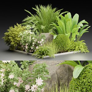 3D outdoor garden plants collection vol 97-Blender