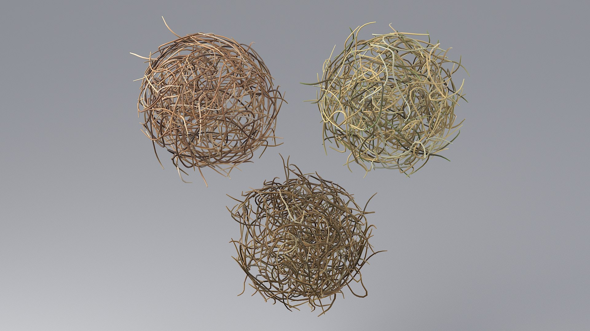 3D model Cartoon Foliage Collection https://p.turbosquid.com/ts-thumb/6t/TRSWyf/46/24_tumbleweed_00_02/jpg/1682490313/1920x1080/fit_q87/fc4acdfe0d55fb27bd9bb878b4bad62f6e01119e/24_tumbleweed_00_02.jpg