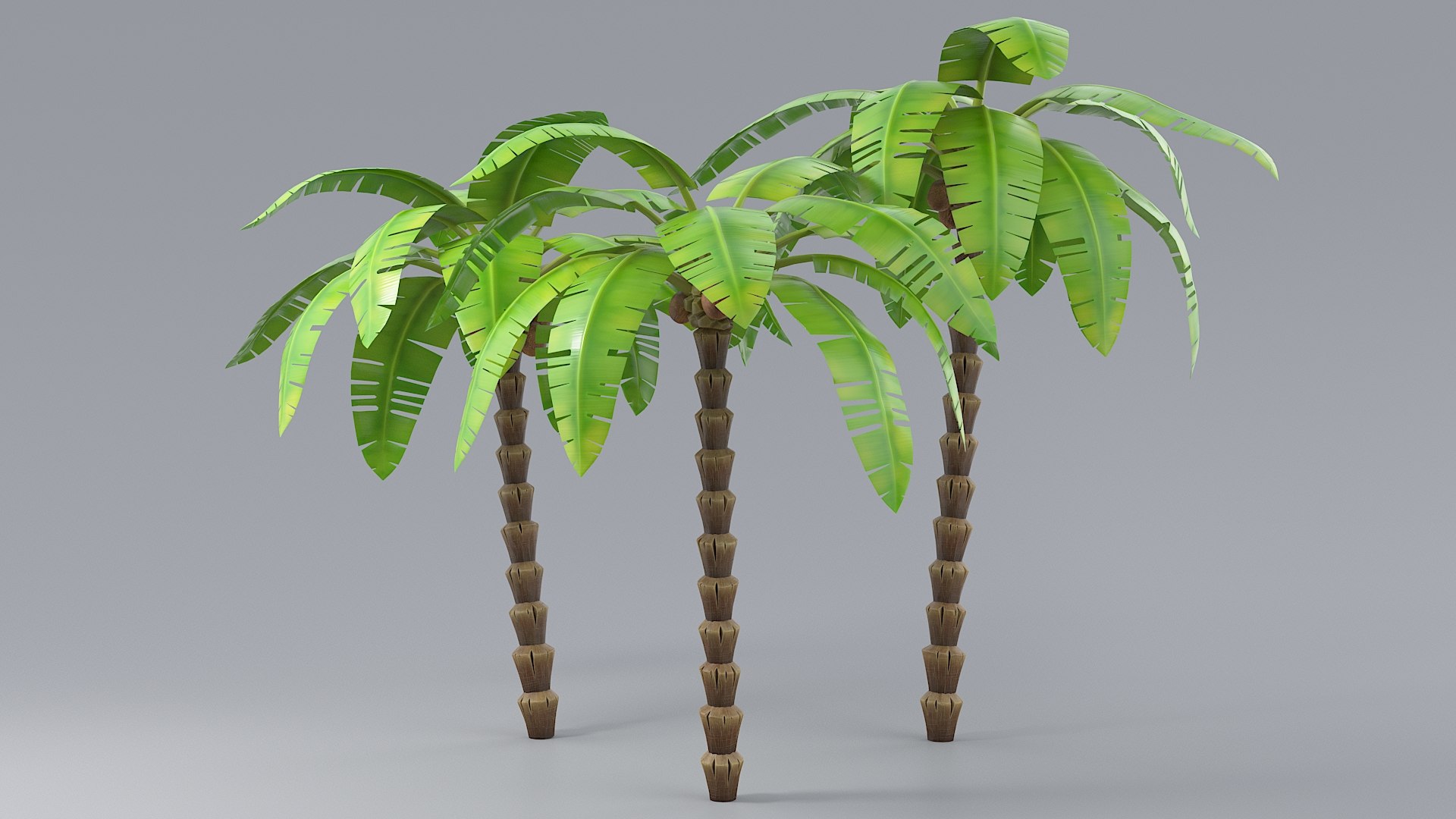 3D model Cartoon Foliage Collection https://p.turbosquid.com/ts-thumb/6t/TRSWyf/Ek/12_palm_set_02/jpg/1682490307/1920x1080/fit_q87/dcc013769943c554cbfe52aa984f9875716ac6db/12_palm_set_02.jpg