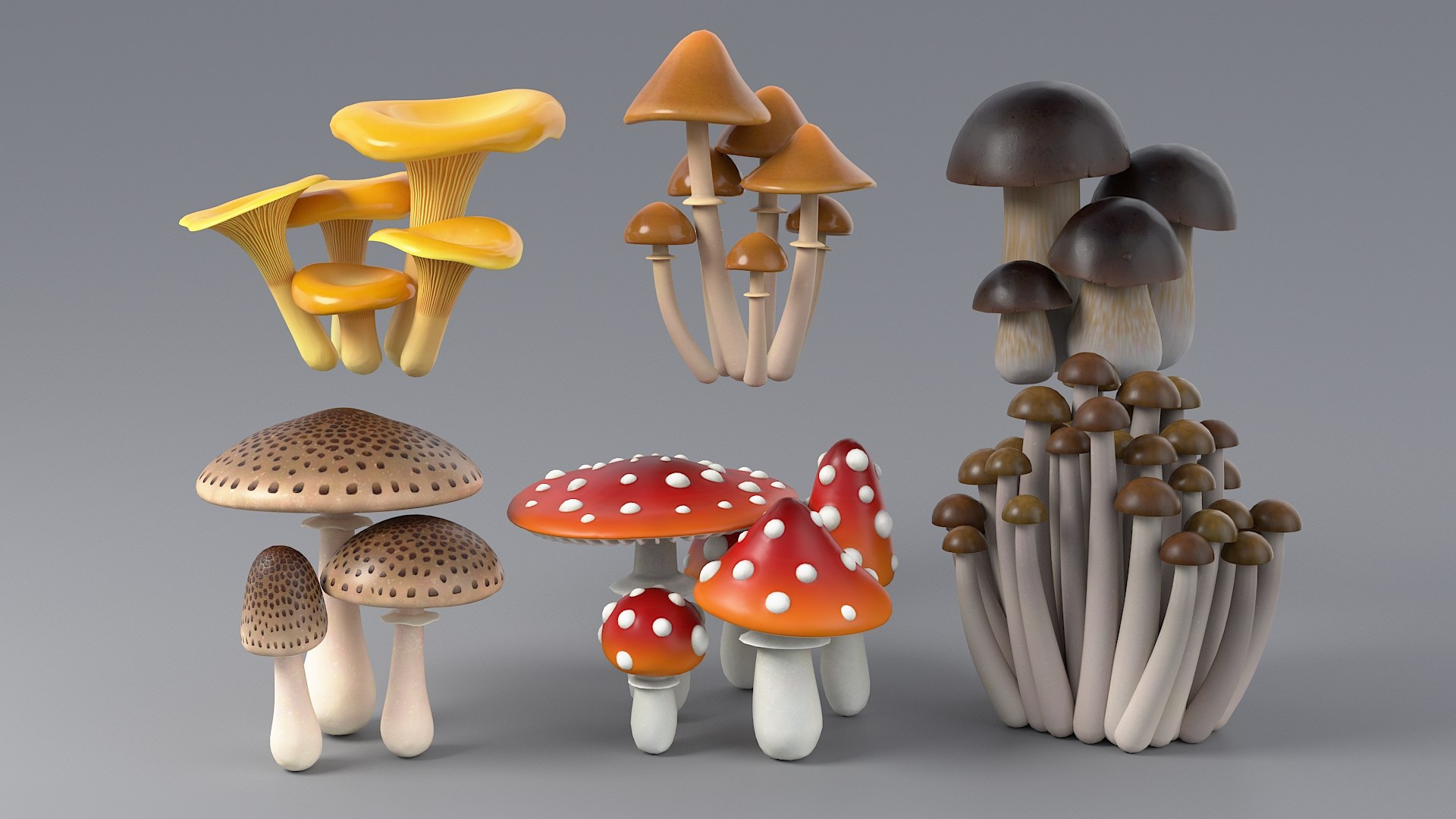 3D model Cartoon Foliage Collection https://p.turbosquid.com/ts-thumb/6t/TRSWyf/R9/23_mushrooms_00_main2/jpg/1682490312/1920x1080/fit_q87/7cbdeffe724fe7efe223a5298e7c821ca3707672/23_mushrooms_00_main2.jpg