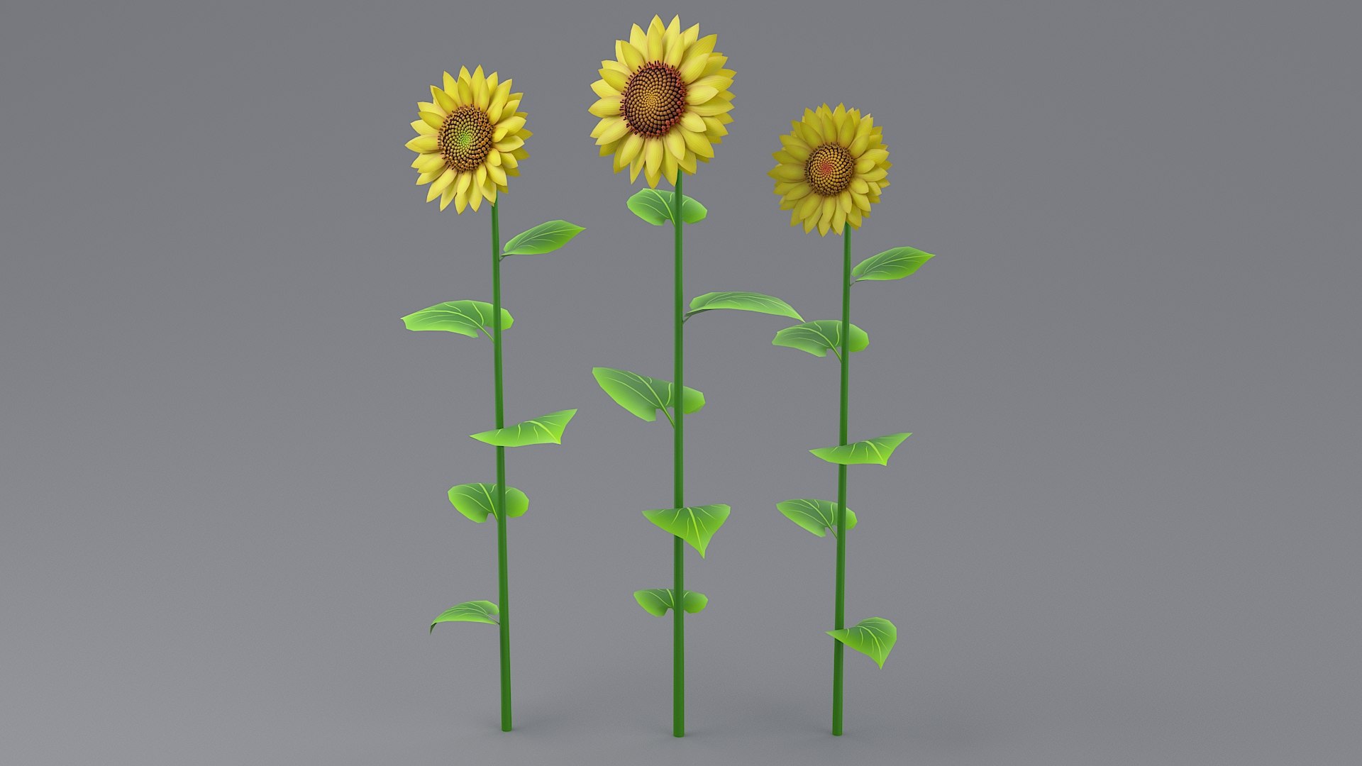 3D model Cartoon Foliage Collection https://p.turbosquid.com/ts-thumb/6t/TRSWyf/n7/18_sunflower_00_0002/jpg/1682490310/1920x1080/fit_q87/c2481e2764d2a31b095dccf00a6868fd2f0df5d0/18_sunflower_00_0002.jpg