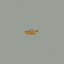 airplane for game