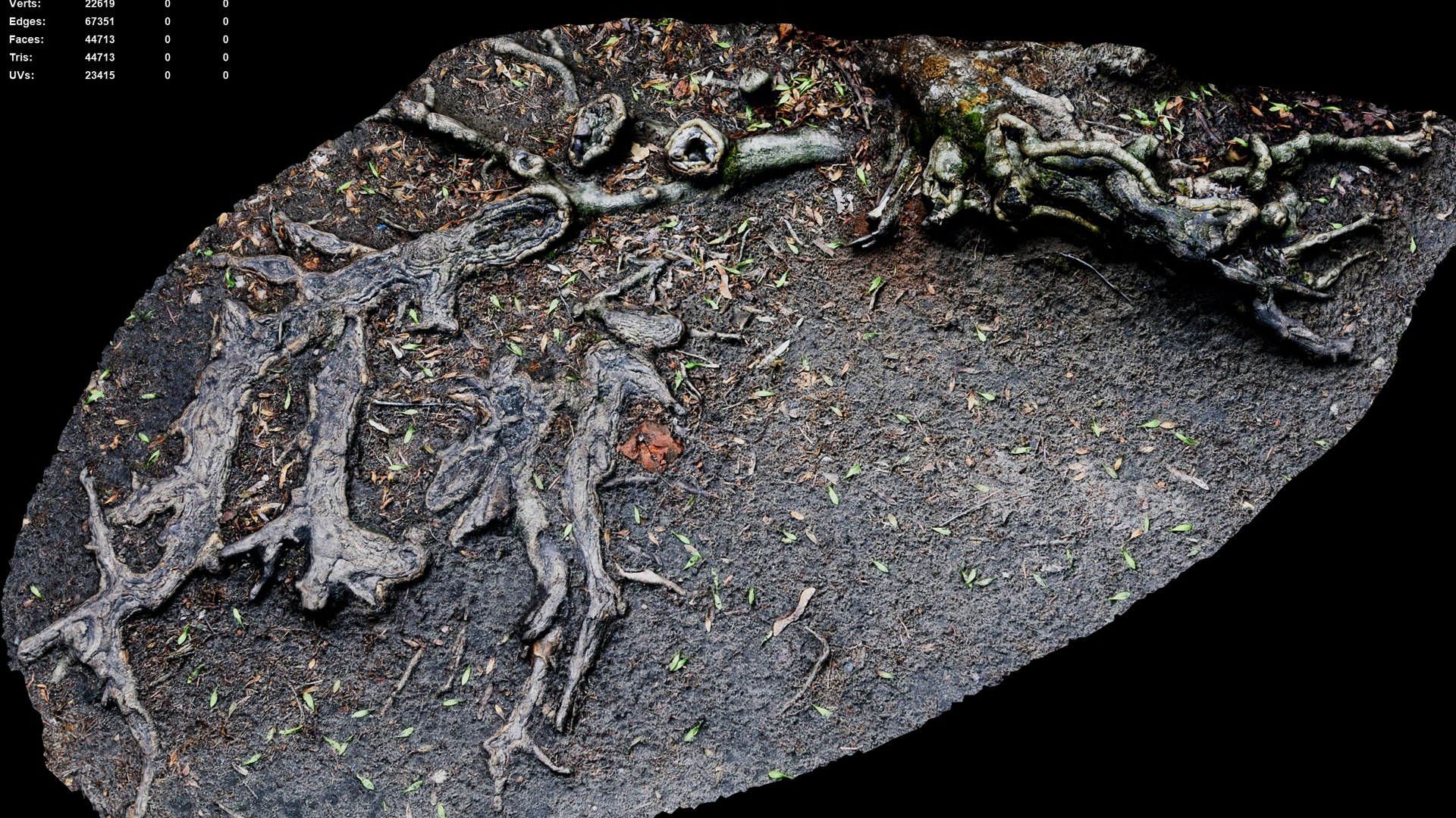3D Old Tree Roots Ground Mud Photogrammetry - TurboSquid 2338089