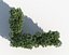 Shrub Hedges