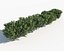 Shrub Hedges