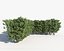 Shrub Hedges