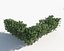 Shrub Hedges