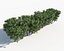 Shrub Hedges