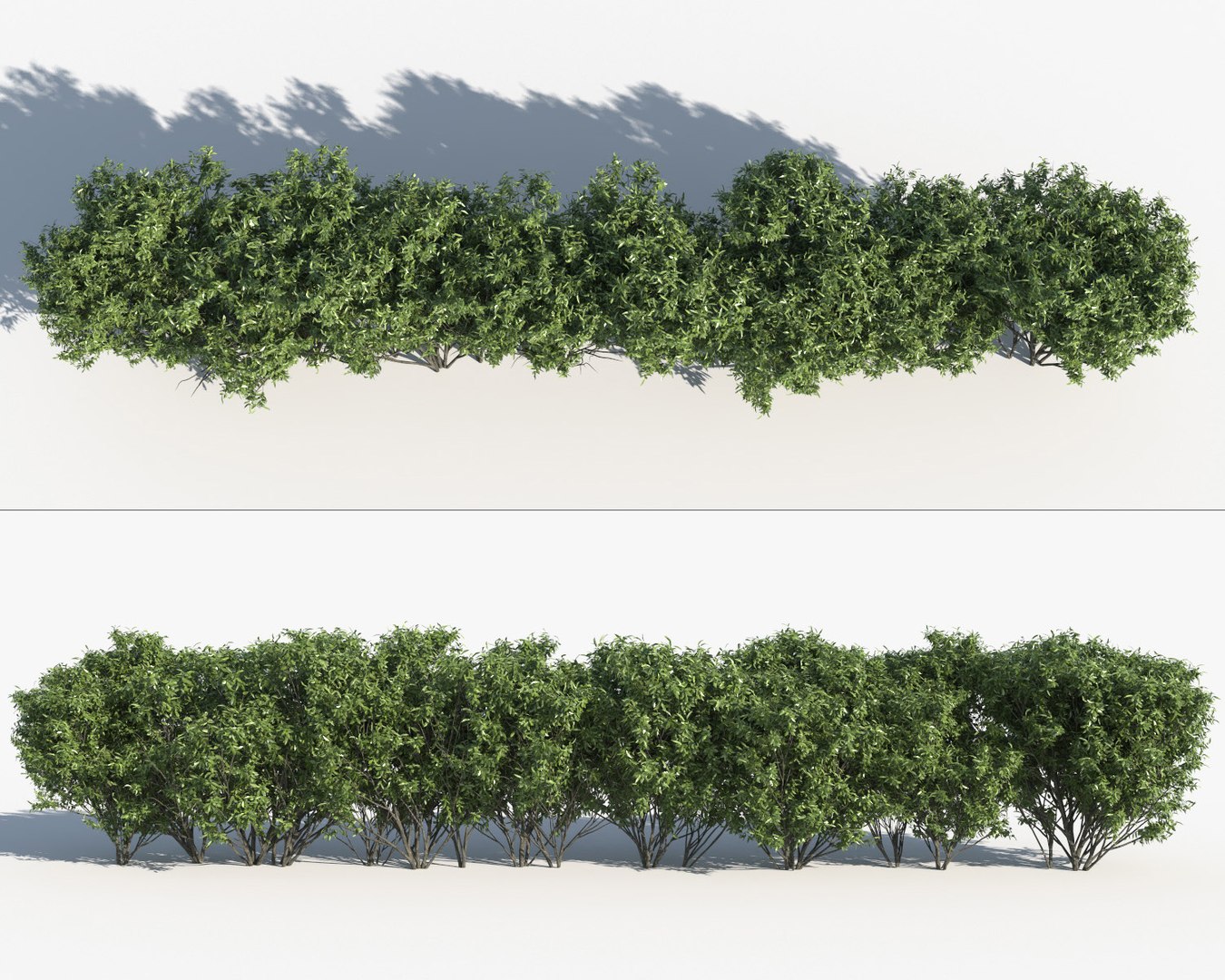 3D shrub hedges https://p.turbosquid.com/ts-thumb/6u/0R91At/YP9nuPdV/shrub_hedges_7/jpg/1493541873/1920x1080/fit_q87/63af7ec69a1baabefe2cfc7c35d257f7c7c29795/shrub_hedges_7.jpg