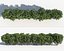 Shrub Hedges