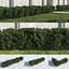 Shrub Hedges