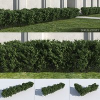 Shrub Hedges