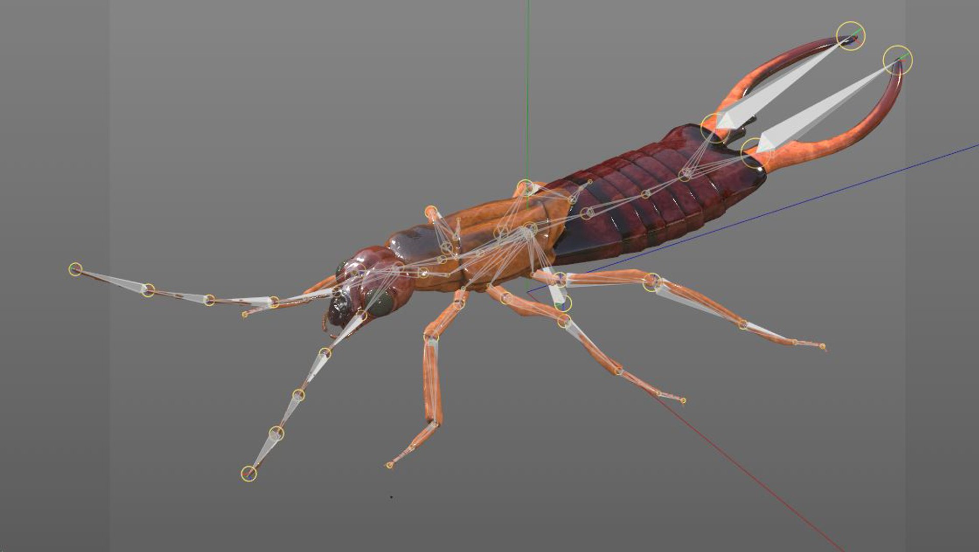 Rigged 3D Model - TurboSquid 1537170