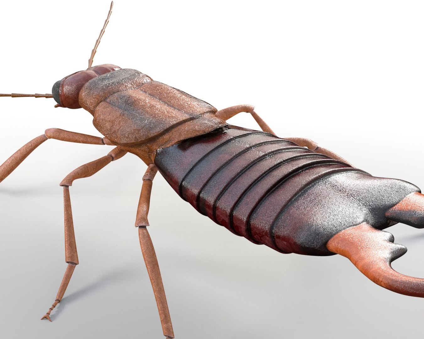 Rigged 3D Model - TurboSquid 1537170