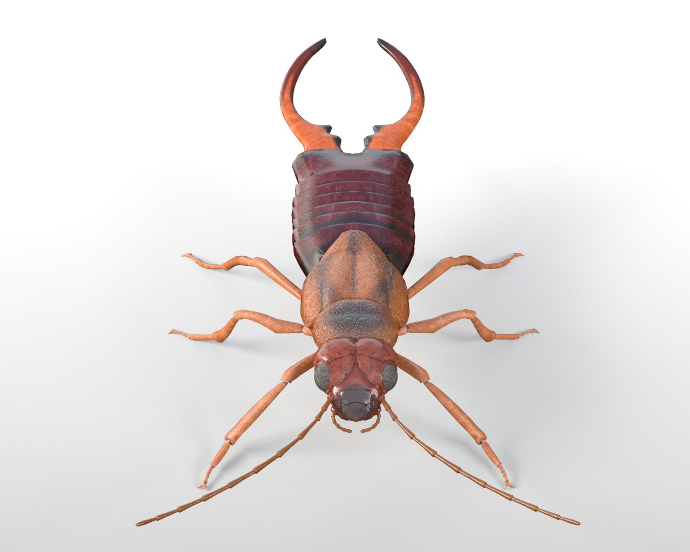 Rigged 3D Model - TurboSquid 1537170