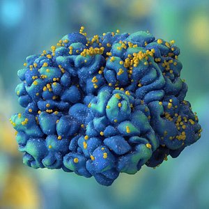 3D HIV Infected T Lymphocyte