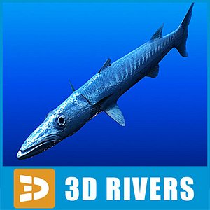 Barracuda by 3DRivers