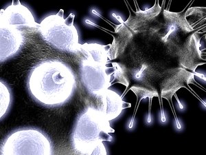 Virus Collection.