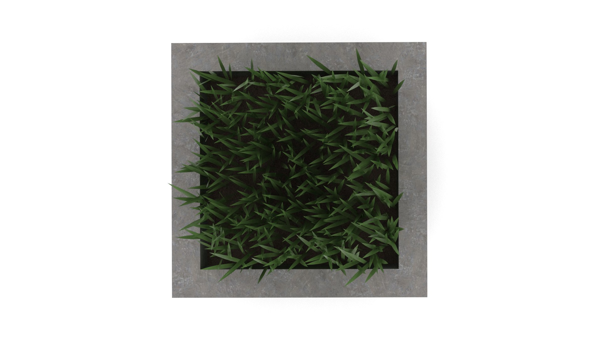 Potted grass 3D https://p.turbosquid.com/ts-thumb/6u/Jr0GPt/3D/1920x10802/png/1681844765/1920x1080/fit_q87/6aacb6c39809fa45c70ac792299258dcc1f92dab/1920x10802.jpg