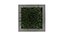 Potted grass